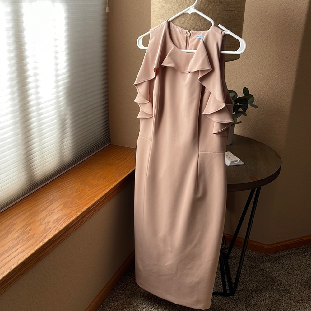 Blush Antonio Melani dress.
